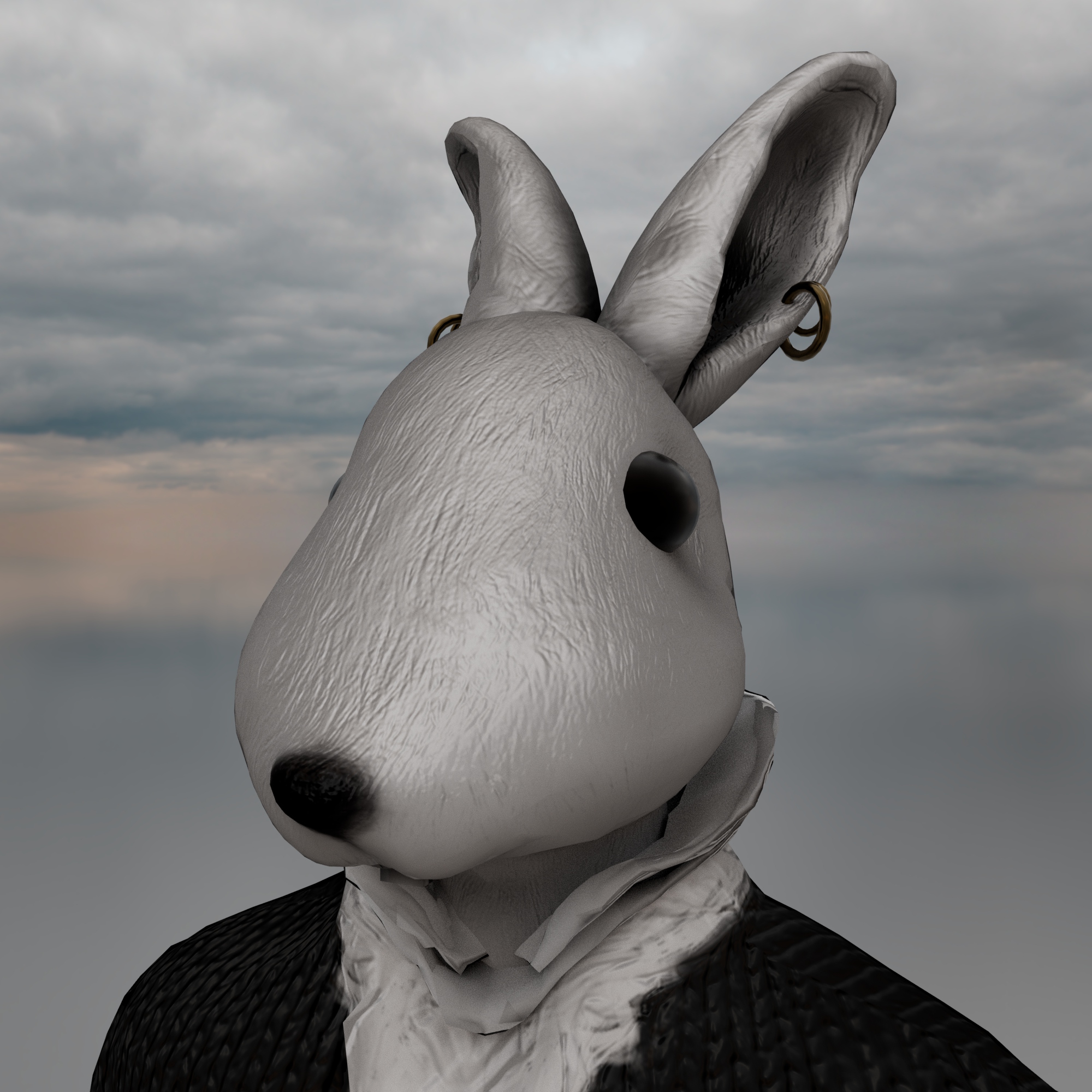Rabbit butlers concept