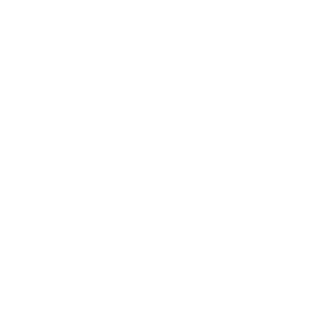 Final Logo Design